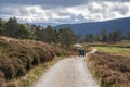 Cairngorms National Park, Scotland, UK Royalty Free Stock Photo